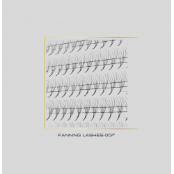 4D Fanning-Lashes 0,07 C